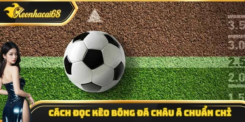 Hướng dẫn thành viên cách đọc kèo bóng đá châu Á chi tiết