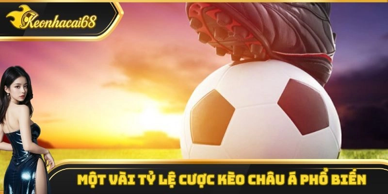 Một vài tỷ lệ kèo châu Á phổ biến hàng đầu hiện nay
