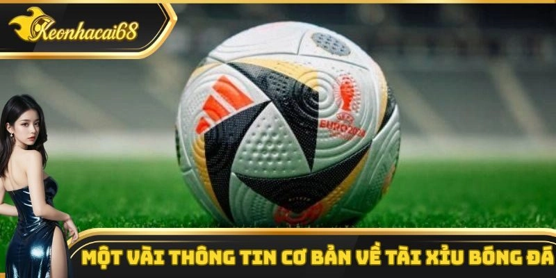 Những thông tin cơ bản cần biết về kèo tài xỉu bóng đá
