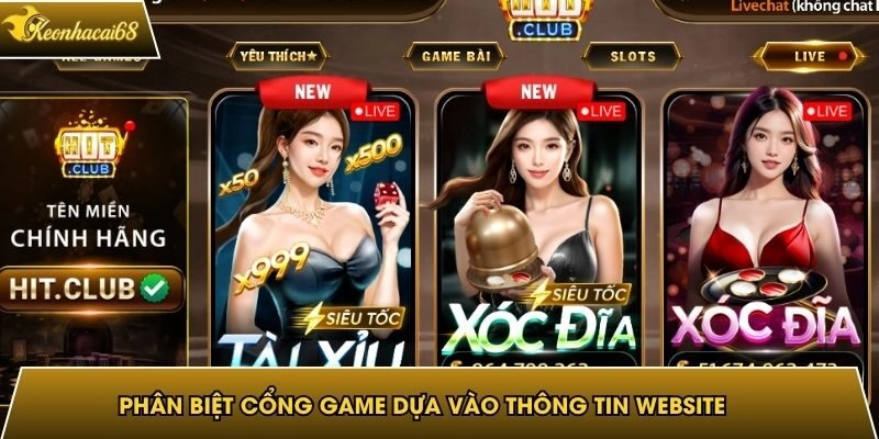 Phân biệt cổng game chính chỉ dựa vào thông tin website